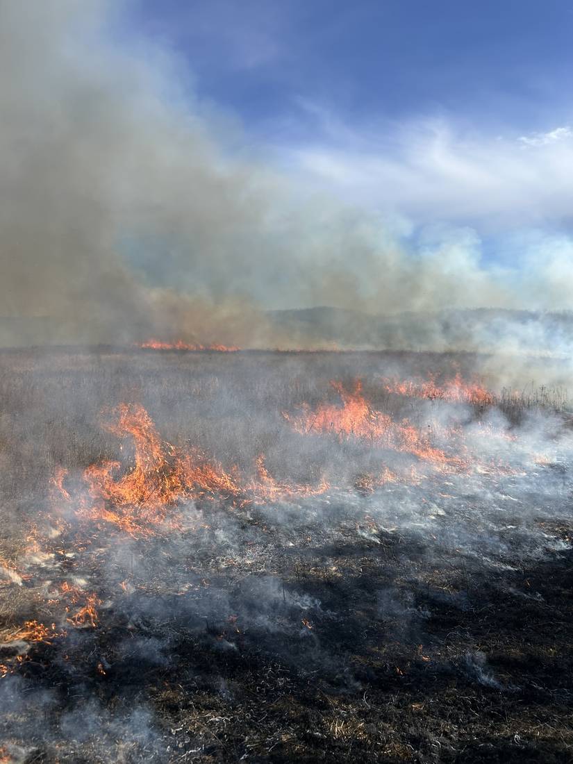 Prescribed burn moving across the prairie.
